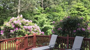 A wooden deck with two metal chairs and a small table. - Charming Classic Cape Home Bordering Bike Trail-Family Friendly In Harwich (Harwich)