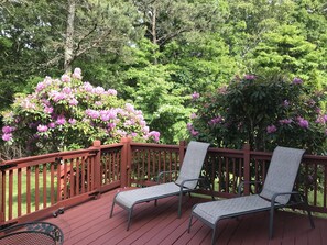 テラス / パティオ