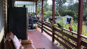 A covered porch with a cushioned seating area, a glass table, and a view of the surrounding greenery. - Plough Cottage is a charming and cozy getaway for the family at a cheap price (Howqua)