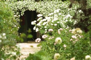 Um caminho no jardim leva a uma porta escura, cercado por vegetação exuberante e flores vibrantes.
