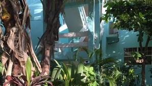 Un jardí tropical amb palmeres, falgueres i un cartell d'un hotel.