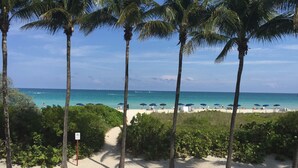 A beach with palm trees, a sandy path, and beach umbrellas. - Direct Ocean Front Property (Miami Beach)
