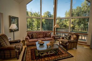 TV, fireplace, books