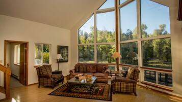 Télévision, cheminée, livres