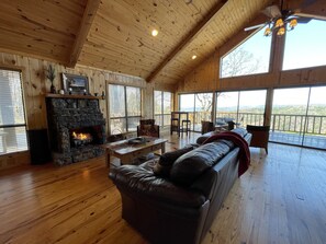 TV, fireplace, DVD player, books