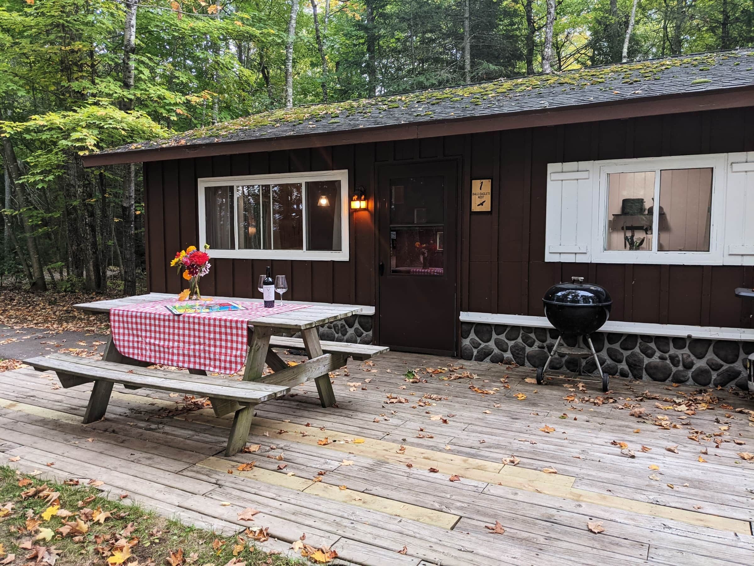 Bald Eagle's Nest (Renovated Cabin 1) Premium Amenities Included!