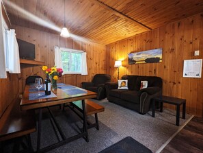 TV, fireplace, table football