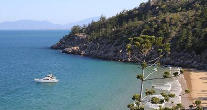 Champagne four on magnetic