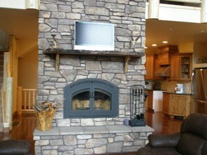 Televisión, chimenea, videojuegos y reproductor de DVD 