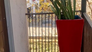 Un cactus vermell en testoseta a un balcó amb un estriau i una reixa de metall.