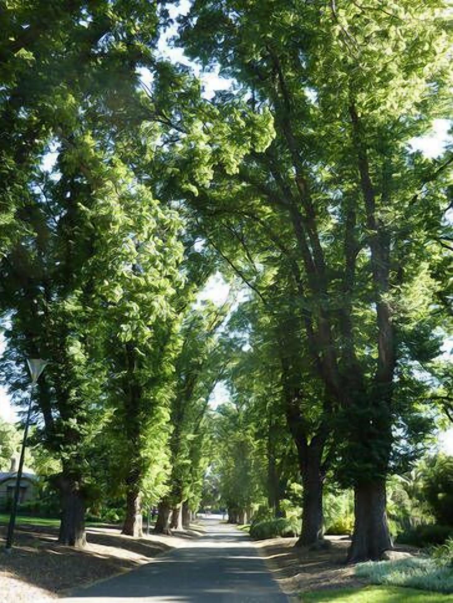 Park Lane Apartment East Melbourne — image 14