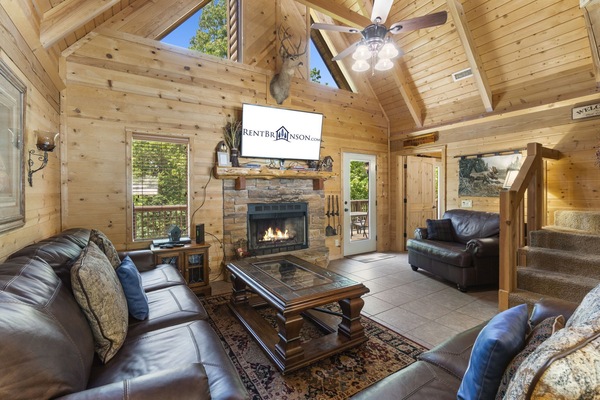 TV, fireplace