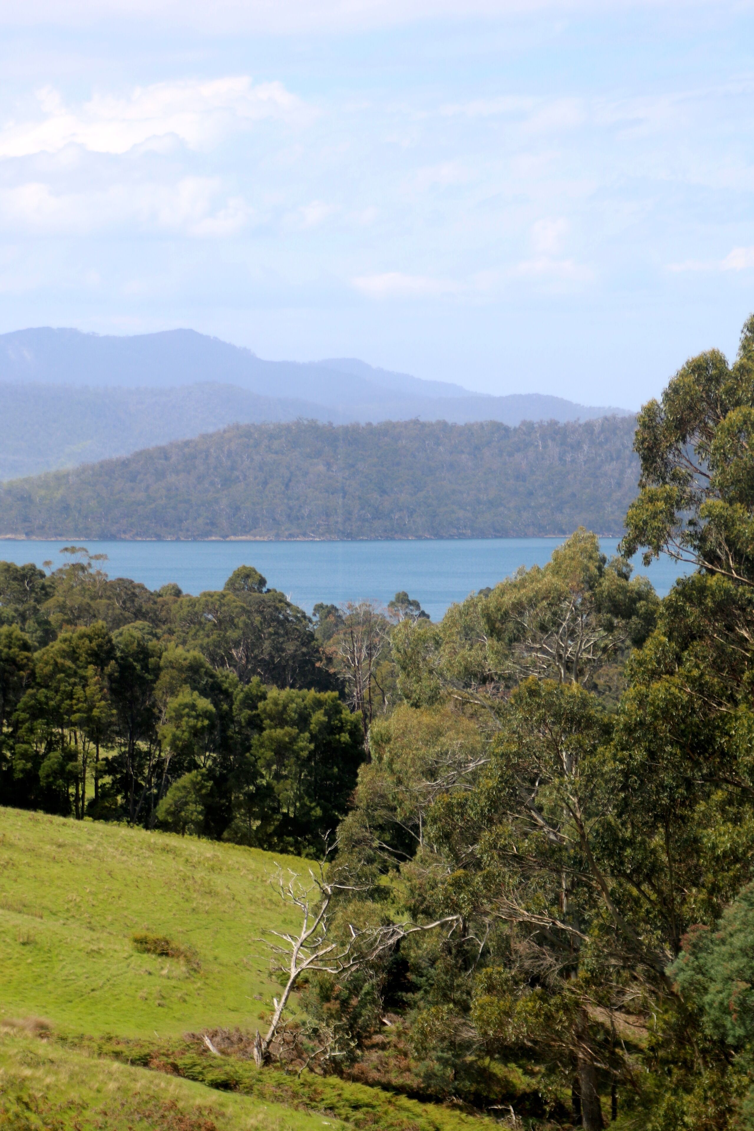 Wildwood Retreat — image 2