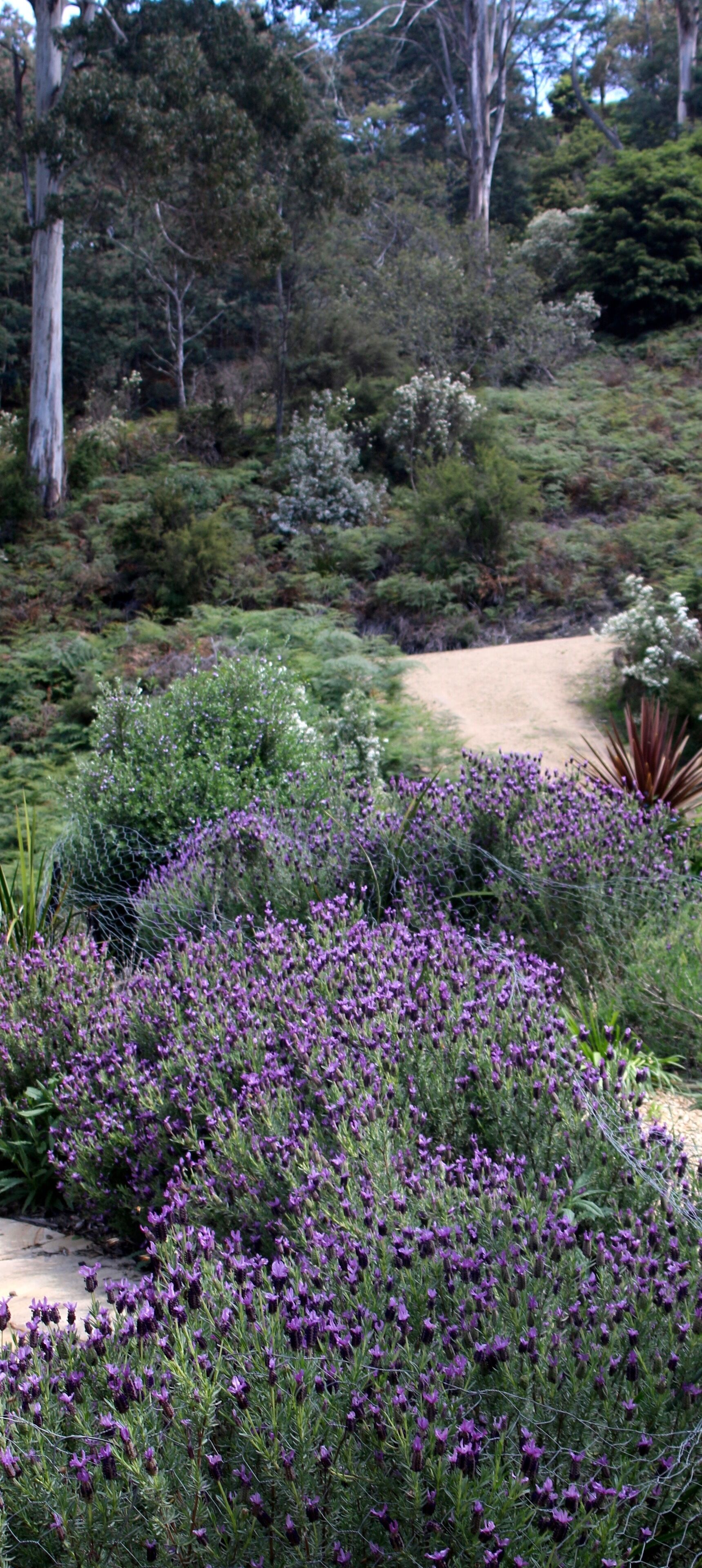 Wildwood Retreat — image 28