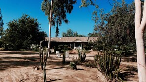 A desert landscape with cacti and trees, a house with a tiled roof, and a clear blue sky. - Enjoy the RANCHO Villa Heart of Temecula Wine Country Golf Casinos Views RVC-023 (Temecula)