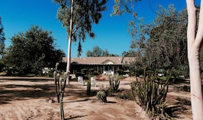Property grounds