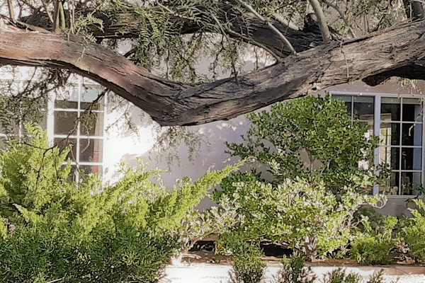 Detall de l'exterior