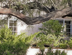 A building with a large tree branch overhanging the entrance. - Art, hiking, relaxing under the stars in Julian/Anza Borrego
(Julian)