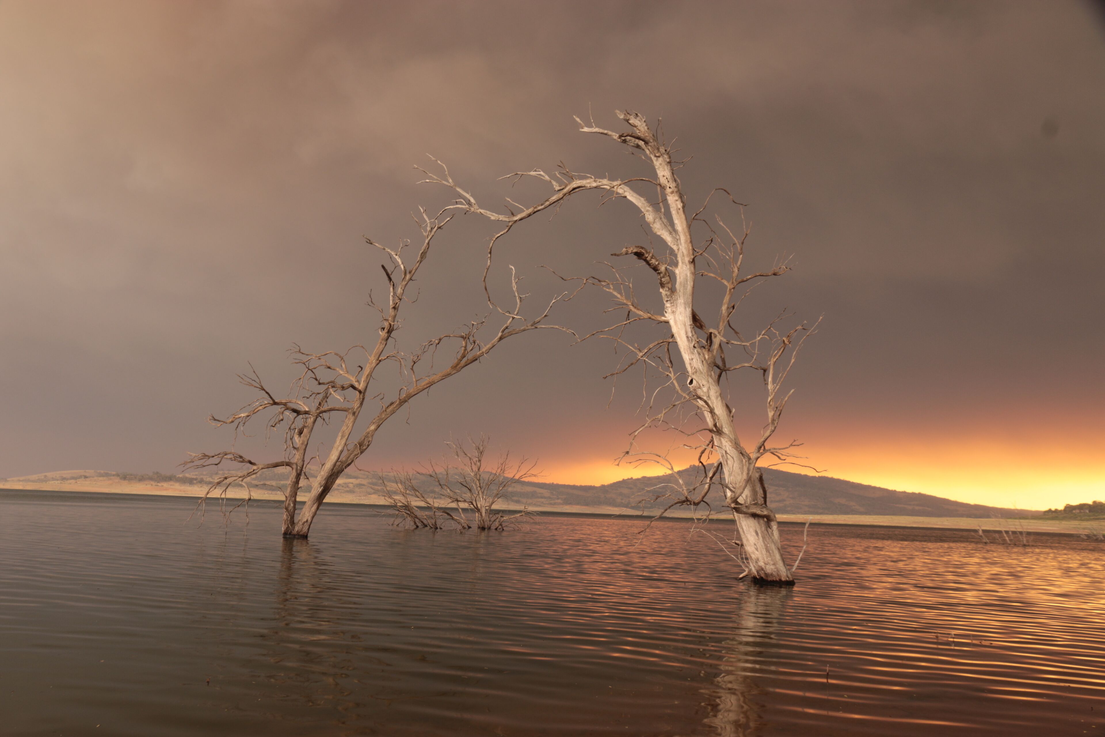 Denison Cottage Old Adaminaby — image 13