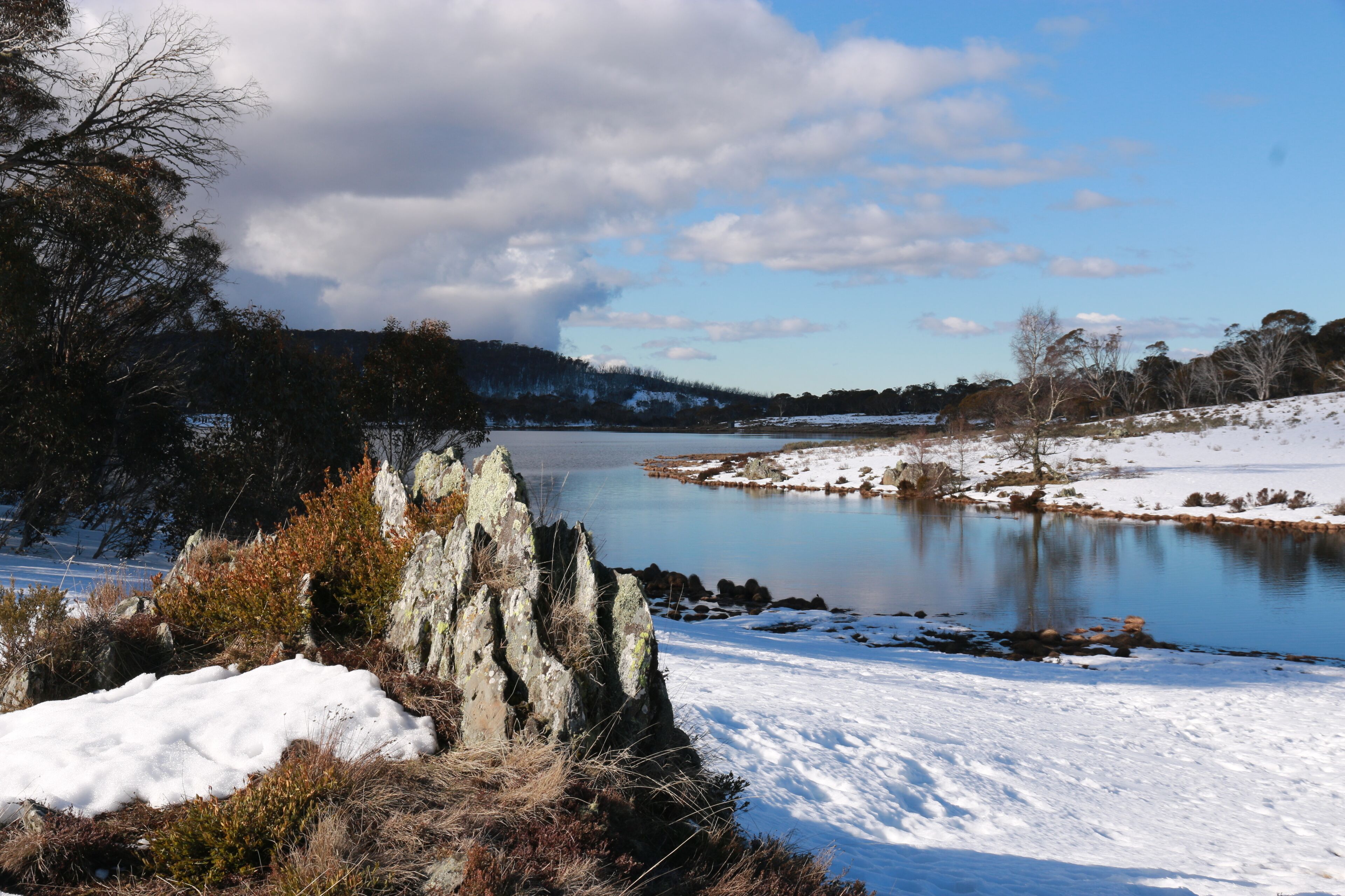 Denison Cottage Old Adaminaby — image 15