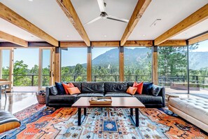 Smart TV, fireplace, DVD player, books