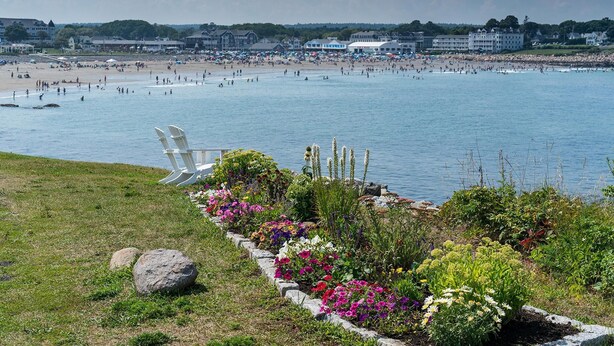 En strand med en stol og blomster i forgrunden, og en stor bygning i baggrunden.