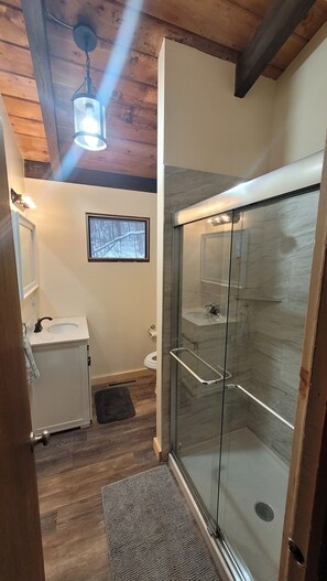 Shower, towels, soap, toilet paper