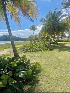 Eine tropische Landschaft mit Palmen, einer Rasenfläche und Blick aufs Meer.