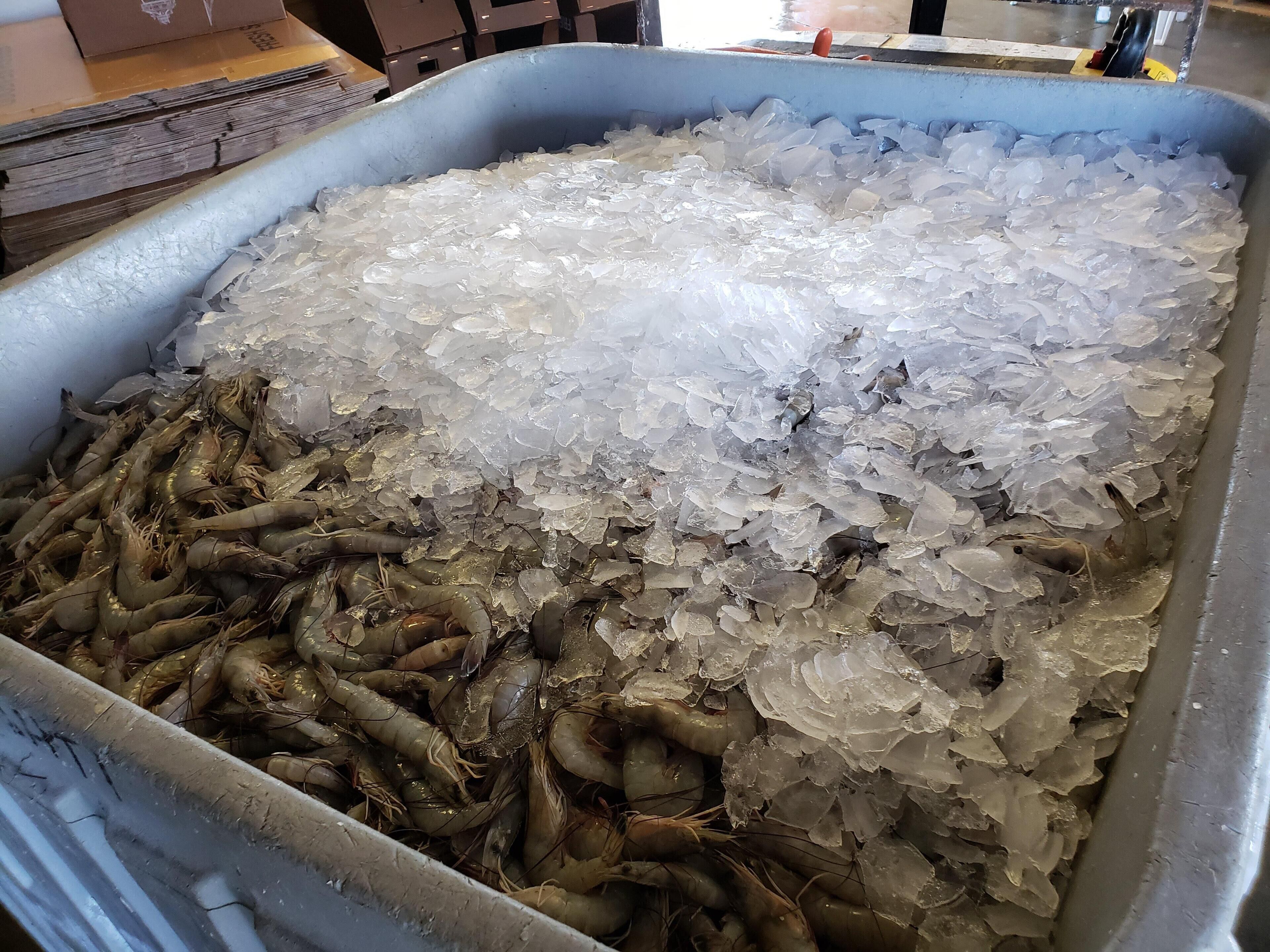 Un recipiente grande lleno de hielo y camarones.