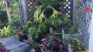 Eine Holzterrasse mit Kübelpflanzen und Blumen, einem Gitterwerk und einer Statue.