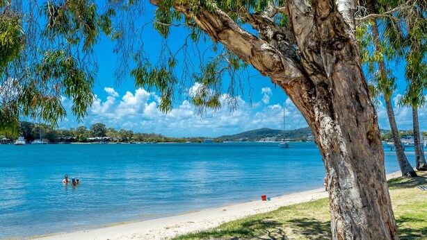 A beach with clear blue water, a sandy shore, and a large tree in the foreground.