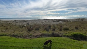 Un campo cubierto de hierba con un perro pastando, una playa al fondo y un cielo nublado.
