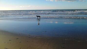 Beach nearby, sun-loungers