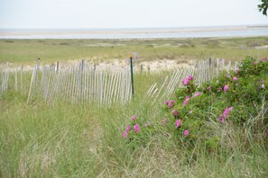 Overnatningsstedets område