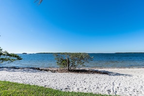 Una playa de arena blanca, un pequeño árbol y agua azul tranquila.