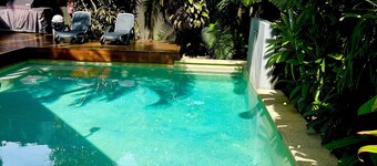 Court Room 100 in Port Douglas