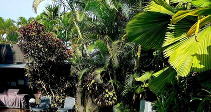 Court Room 100 in Port Douglas