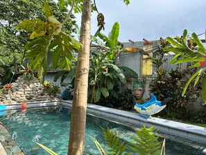 A swimming pool with a stone wall and tropical plants.