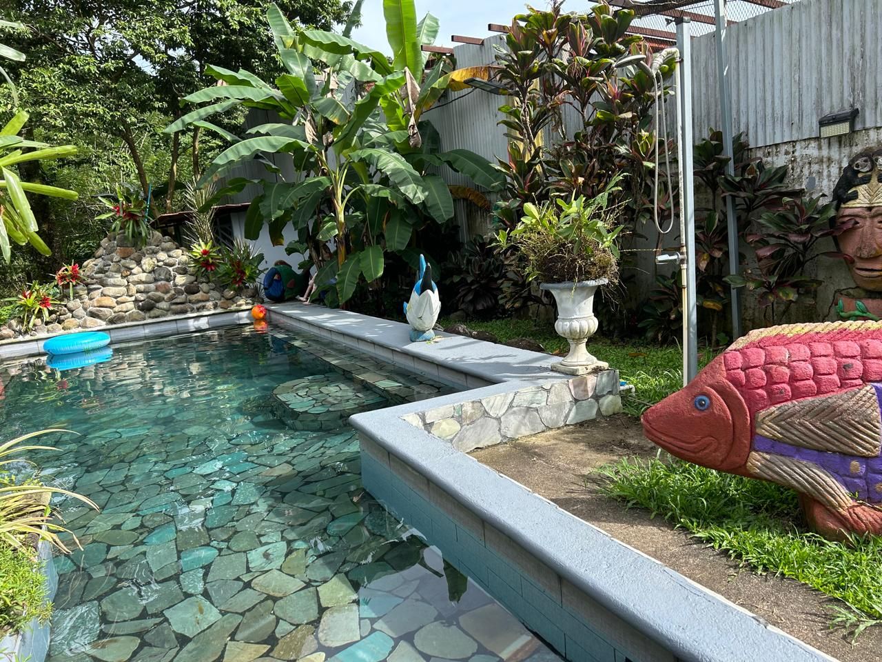 A swimming pool with a stone border and a decorative fish statue.