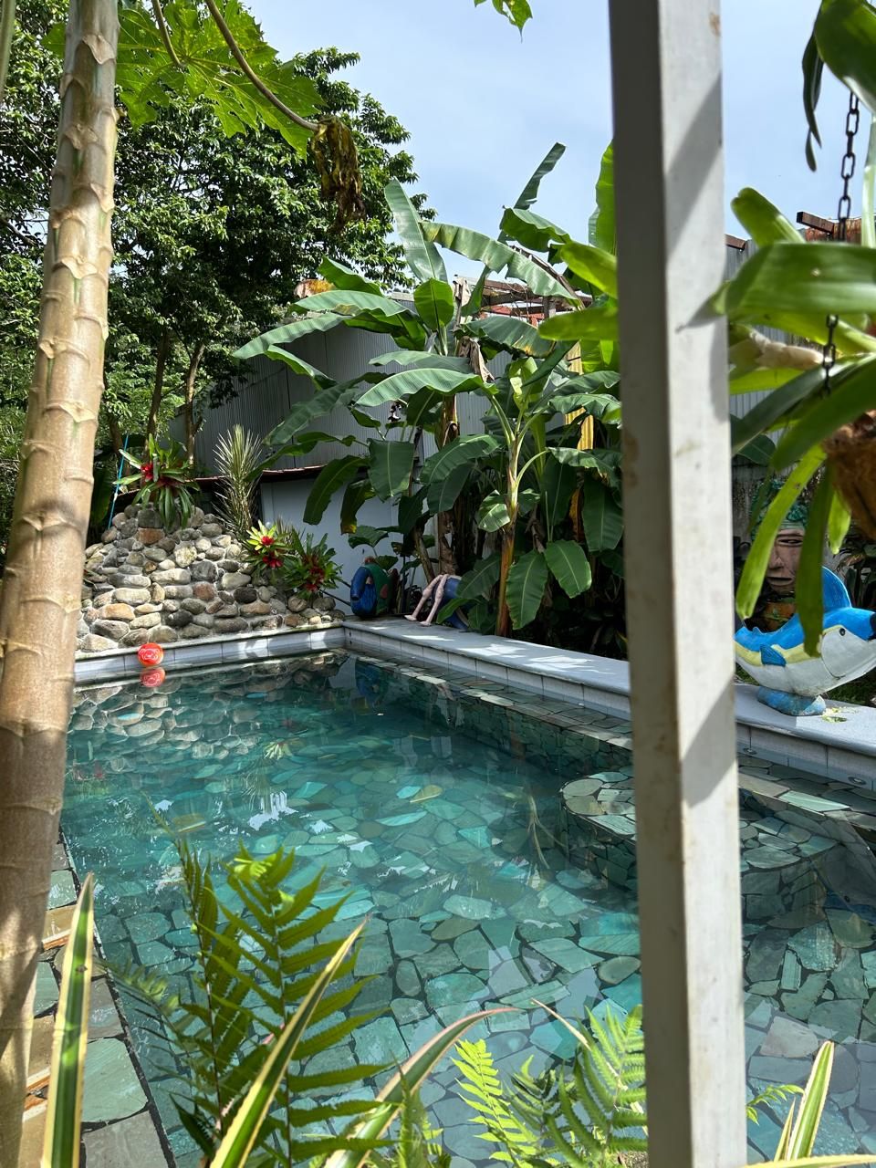 Una piscina cristalina con baldosas de piedra, rodeada de plantas tropicales y un muro de piedra.
