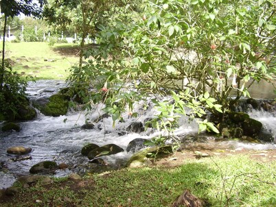 Rent 1 apt for up to 6 guests both apt for up to 12 guests and a discount