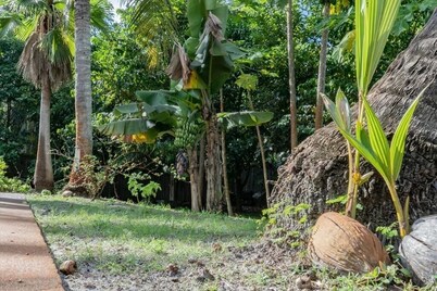 Fruit of Life Tropical Getaway