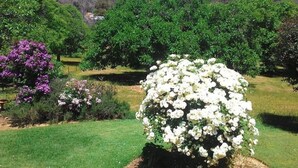 Een tuin met diverse bloeiende planten en bomen, een gazon en een heuvelachtig landschap op de achtergrond.