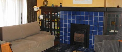 Smart TV, fireplace, DVD player, books