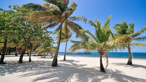 A beach with palm trees and a clear blue sky. - Beachfront | Beachside Private Pool | Immaculately Kept | Private Dive Resort (Roatan)