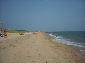 Beach nearby, sun loungers
