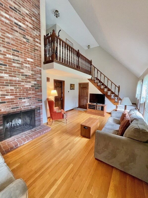 Smart TV, fireplace, DVD player, books