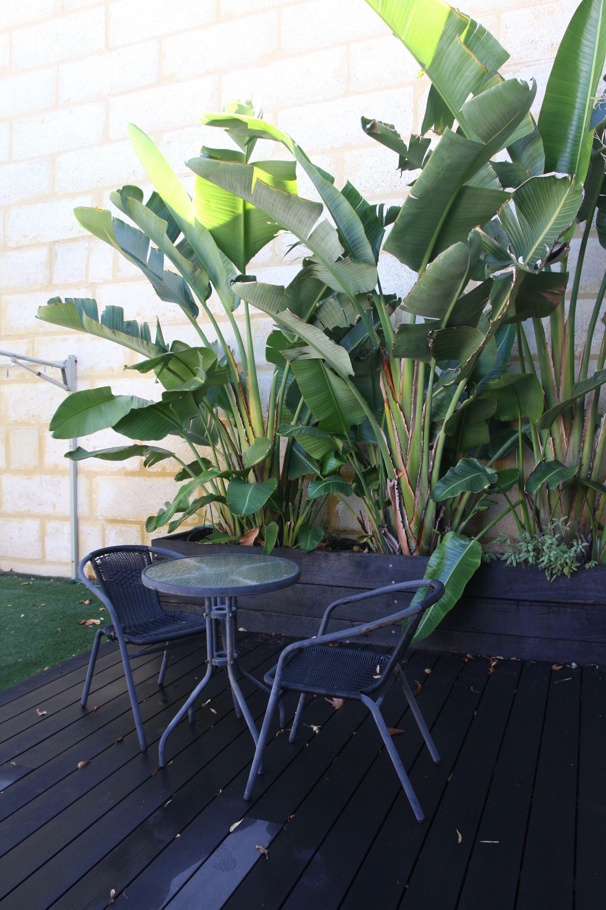 QuayStayz Fremantle WA — image 30