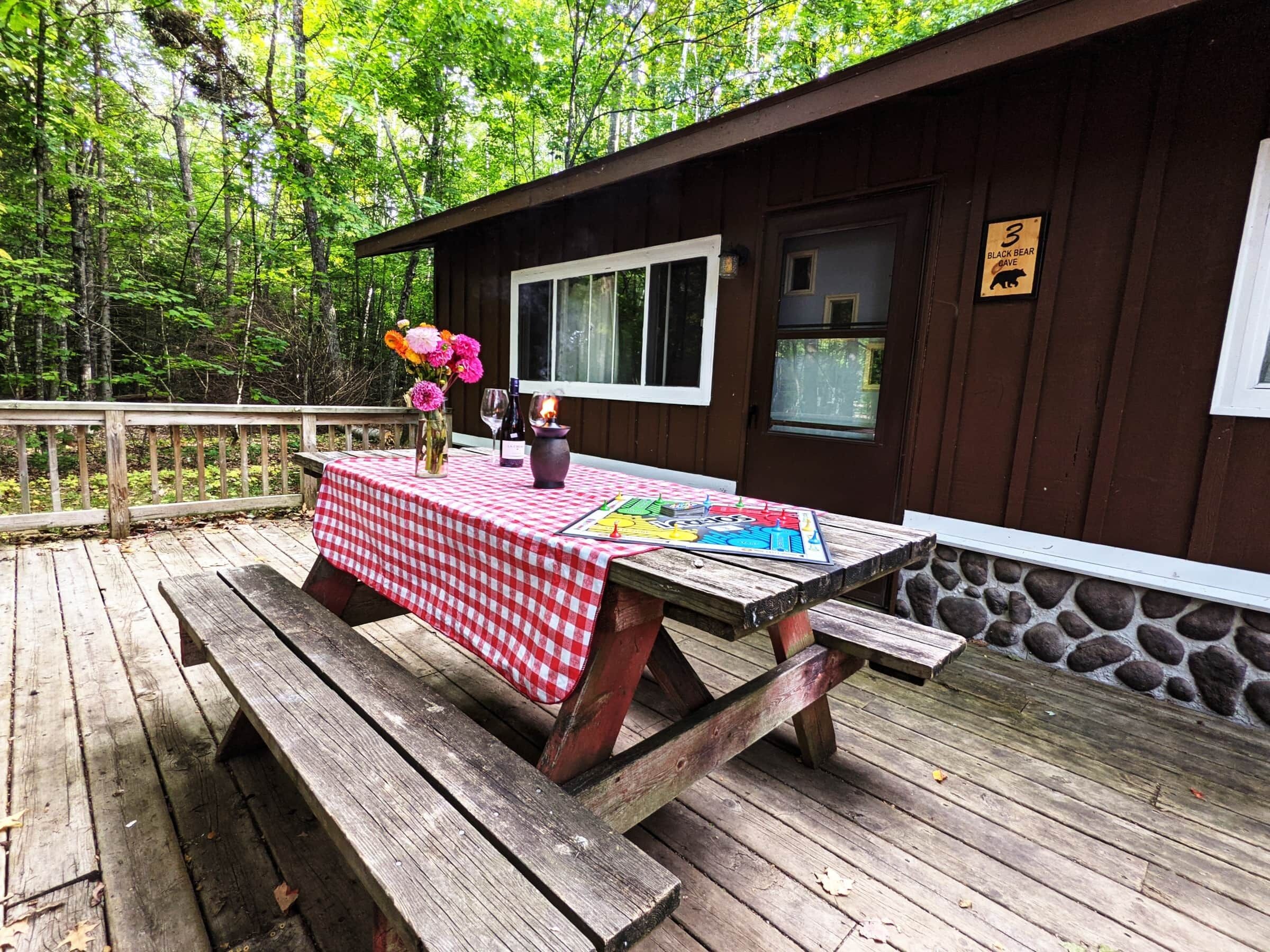 Black Bear's Cave (Renovated Cabin 3) Premium Amenities Included!