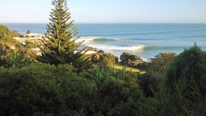 A coastal landscape with a prominent tree, ocean view, and buildings in the background. - G SPOT (upper level) WITH SPA (Raglan)